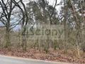 Działka budowlana 6500 m², Książenice - zdjęcie 1