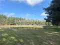 Działka gospodarstwo 5,96 ha, Ługi-Radły, Kościelna - zdjęcie 2