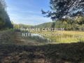 Działka gospodarstwo 5,96 ha, Ługi-Radły, Kościelna - zdjęcie 4