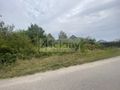 Działka budowlana 1000 m², Krupia Wólka - zdjęcie 2