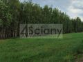 Działka budowlana 2000 m², Krupia Wólka - zdjęcie 3