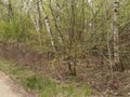 Działka rekreacyjna 1190 m², Cyprianów - zdjęcie 1