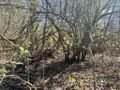 Działka inwestycyjna 1,24 ha, Zabrze, Al. J.Nowaka-Jeziorańskiego - zdjęcie 2