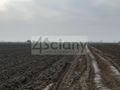 Działka budowlana 918&nbsp;m², Zaborówek - zdjęcie 2
