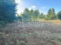 Działka rolna 2488&nbsp;m², Kąck - zdjęcie 2