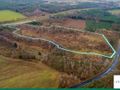 Działka inwestycyjna 9,81 ha, Strzelno, Zgorzelecka - zdjęcie 4