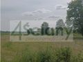 Działka budowlana 3000 m², Książenice - zdjęcie 2