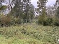 Działka budowlana 2100 m², Wilków Polski - zdjęcie 3