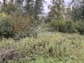 Działka budowlana 2100 m², Wilków Polski - zdjęcie 2