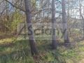 Działka budowlana 1436 m², Musuły - zdjęcie 2