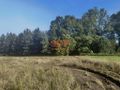 Działka budowlana 880 m², Pełczyce, Kwiatowa - zdjęcie 1