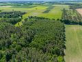 Atrakcyjna działka rolna o powierzchni 3,86 ha - zdjęcie 5
