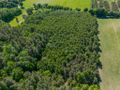 Atrakcyjna działka rolna o powierzchni 3,86 ha - zdjęcie 6