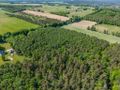 Atrakcyjna działka rolna o powierzchni 3,86 ha - zdjęcie 4