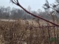 Działka inwestycyjna 8,81 ha, Brzeszcze, Drobniaka - zdjęcie 4