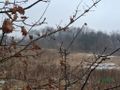 Działka inwestycyjna 8,81 ha, Brzeszcze, Drobniaka - zdjęcie 3