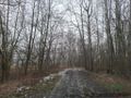 Działka inwestycyjna 12,18 ha, Brzeszcze, Graniczna - zdjęcie 3