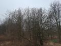 Działka inwestycyjna 3777 m², Brzeszcze, Przecieszyńska - zdjęcie 3