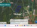 Działka rolna 5,78&nbsp;ha, Dołki - zdjęcie 1