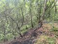 Nieruchomość zlokalizowana w Katowicach w rejonie ul. Szopienickiej - zdjęcie 6