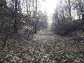 Nieruchomość położona w Katowicach przy ul. Szopienickiej - zdjęcie 5