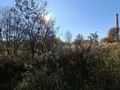 Nieruchomość położona w Katowicach ul. Szopienicka - zdjęcie 6