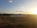 Działka budowlana 1031 m², Falenty Nowe - zdjęcie 1