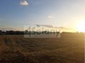 Działka budowlana 3927 m², Falenty Nowe - zdjęcie 1
