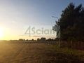 Działka budowlana 3927 m², Falenty Nowe - zdjęcie 3