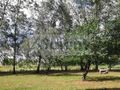 Działka budowlana 800 m², Wola Przypkowska - zdjęcie 3