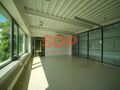 Lokal usługowy do wynajęcia, 196 m², Wrocław, Psie Pole, Żmigrodzka - zdjęcie 1