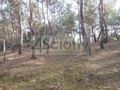 Działka budowlana 1705 m², Legionowo - zdjęcie 1