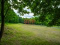 Działka rolna 2755 m², Zagórze Śląskie, Wodna - zdjęcie 4