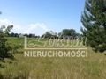 Działka rolna 1403&nbsp;m², Lubczyna, Kasztanowa - zdjęcie 3