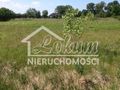 Działka rolna 1403&nbsp;m², Lubczyna, Kasztanowa - zdjęcie 4