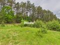 Działka rolna 3333 m², Dobry Las - zdjęcie 4