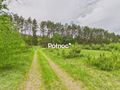 Działka rolna 3333 m², Dobry Las - zdjęcie 6