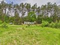 Działka rolna 3333 m², Dobry Las - zdjęcie 5