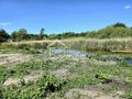 Działka budowlana 1331 m², Chlebowo - zdjęcie 5