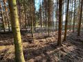 Działka budowlana 1575 m², Radonie - zdjęcie 2