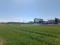 Działka budowlana 1154 m², Zgorzała - zdjęcie 4