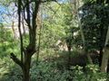 Działka inwestycyjna 598 m², Sosnowiec, Przygraniczna - zdjęcie 4