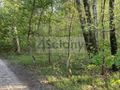 Działka budowlana 2605 m², Marynin - zdjęcie 1