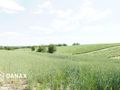 Działka budowlana 4300&nbsp;m², Cianowice - zdjęcie 1