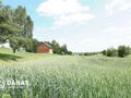 Działka budowlana 4300&nbsp;m², Cianowice - zdjęcie 3
