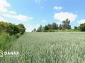 Działka budowlana 4300&nbsp;m², Cianowice - zdjęcie 6