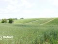 Działka budowlana 4300&nbsp;m², Cianowice - zdjęcie 2