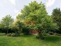 Dom 260&nbsp;m², Wrocław, Śródmieście, Noakowskiego Stanisława - zdjęcie 4