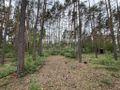 Działka budowlana 1789 m², Nowe Załubice - zdjęcie 1