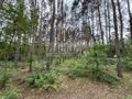 Działka budowlana 1789 m², Nowe Załubice - zdjęcie 4